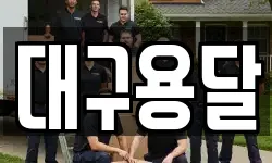 대구용달