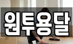원투용달