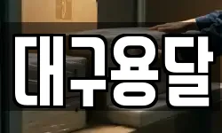 대구용달