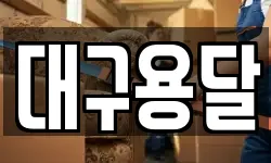 대구용달