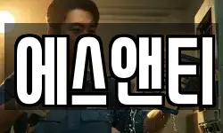 에스앤티