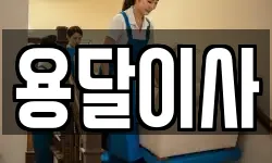 용달이사