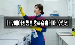 대구에어컨청소 초록숲홈케어 수성점