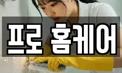 프로 홈케어