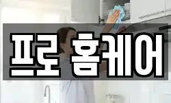 프로 홈케어