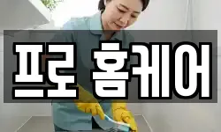 프로 홈케어