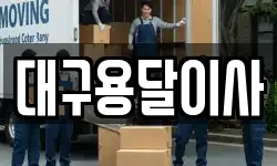 대구용달이사