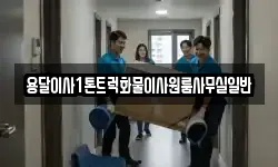 용달이사1톤트럭화물이사원룸사무실일반