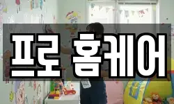 프로 홈케어