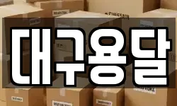 대구용달