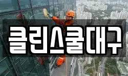 클린스쿨대구