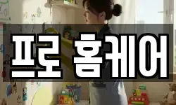 프로 홈케어