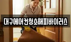 대구에어컨청소해피바이러스