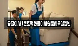 용달이사1톤트럭화물이사원룸사무실일반