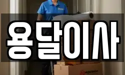 용달이사