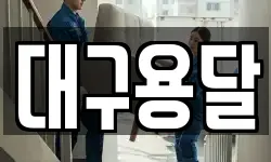 대구용달