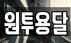 원투용달