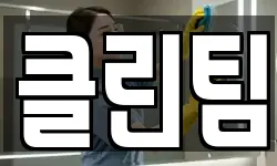 클린팀
