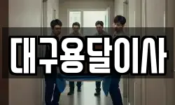 대구용달이사