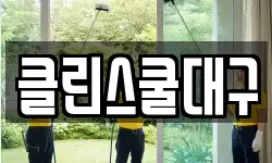클린스쿨대구