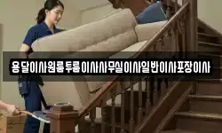 용달이사원룸투룸이사사무실이사일반이사포장이사