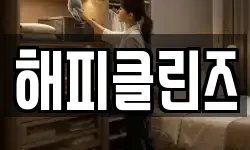 해피클린즈