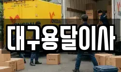 대구용달이사