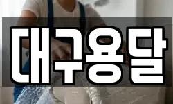 대구용달