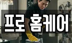 프로 홈케어
