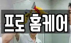 프로 홈케어