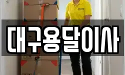 대구용달이사