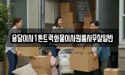 용달이사1톤트럭화물이사원룸사무실일반