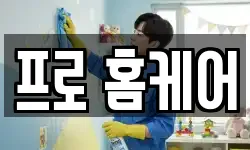 프로 홈케어