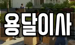 용달이사