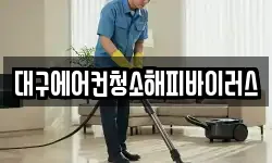 대구에어컨청소해피바이러스