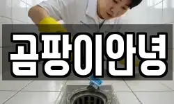 곰팡이안녕