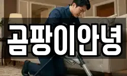 곰팡이안녕
