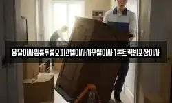 용달이사원룸투룸오피스텔이사사무실이사1톤트럭반포장이사