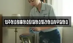입주청소원룸청소퇴실청소빌라청소사무실청소