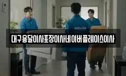 대구용달이사포장이사네이버플레이스이사