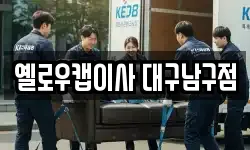 옐로우캡이사 대구남구점