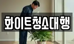 화이트청소대행