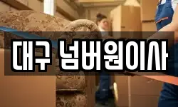 대구 넘버원이사