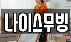 나이스무빙
