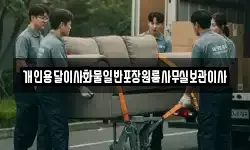 개인용달이사화물일반포장원룸사무실보관이사