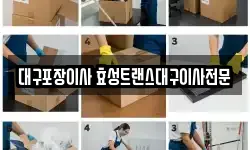 대구 달서구 도원동 이사,용달이사,포장이사,원룸이사,보관이사