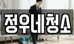 정우네청소