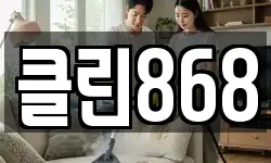 클린868