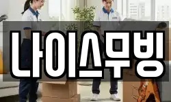 나이스무빙