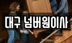 대구 넘버원이사